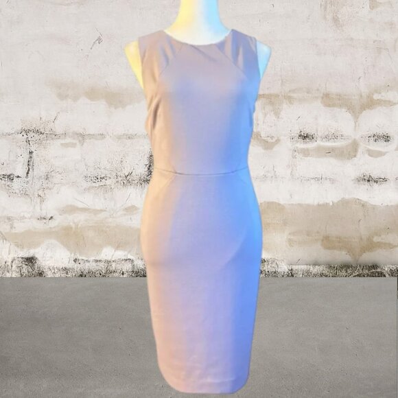 The Limited Purple Sleeveless Sheath Mini Dress Size 0 - Picture 1 of 5